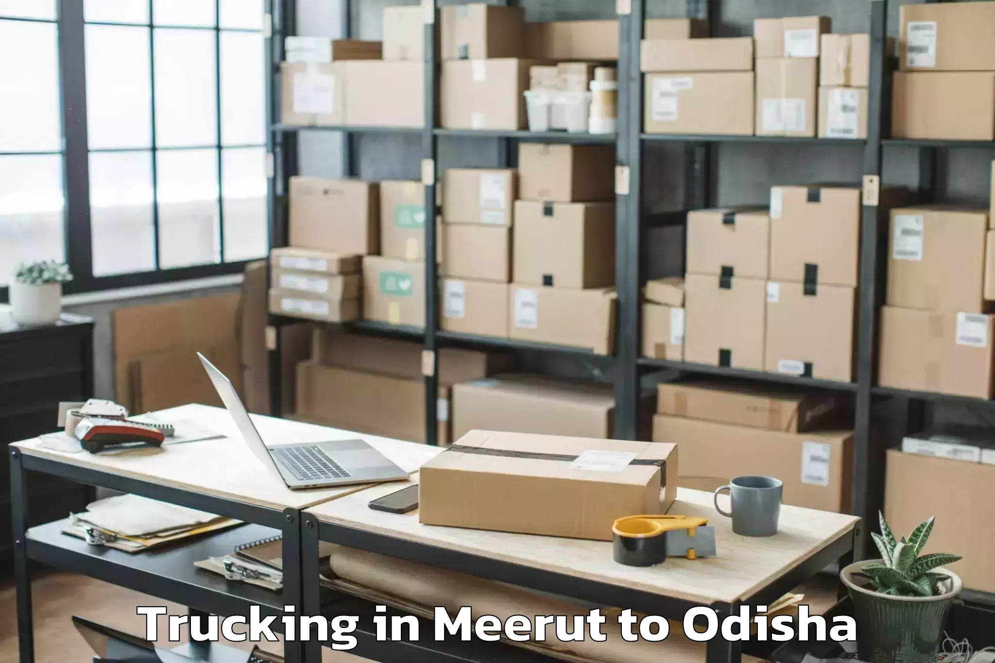 Professional Meerut to Kendujhar Town Trucking